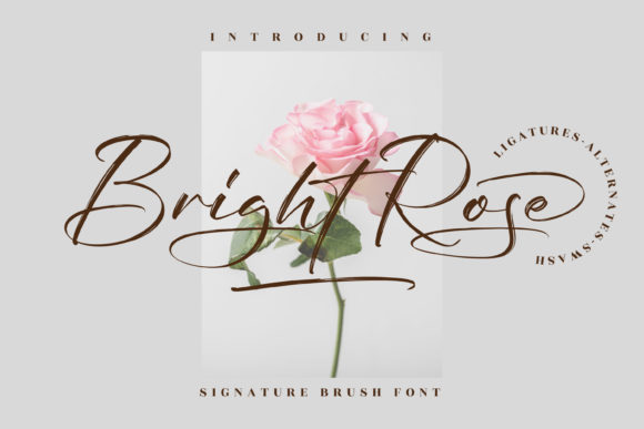 Bright Rose: A Script Amp Review