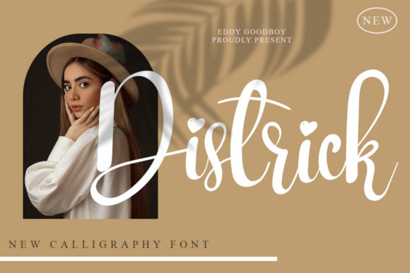 Districk Font: Elegant Script for Craft Projects