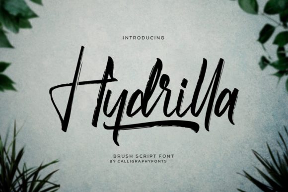 Hydrilla: A Elegant Script Font