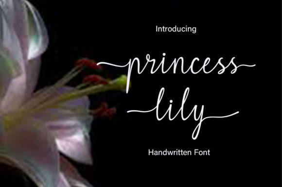 Princess Lily: A Font That Elevates Your Brand