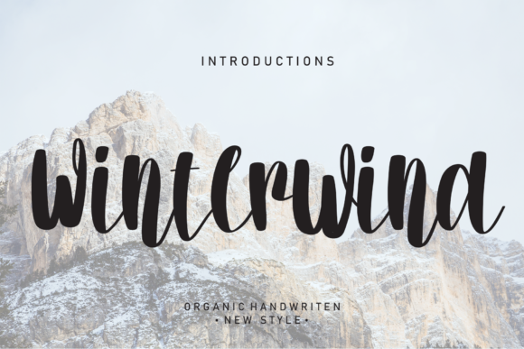 Winter Wind: A Feminine Font for Business